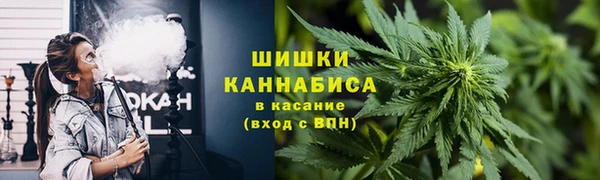 бошки Богородицк