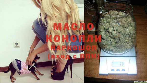 скорость Богданович