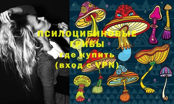 крисы Белокуриха